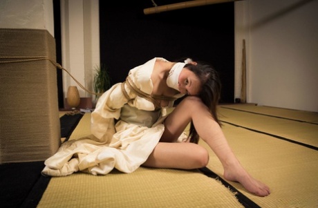 A Shibari session witnesses the gabbing of Flawless Meow, a Japanese female.