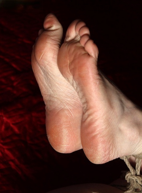 Bound Feet Nude Porn Pics - PornPics.com