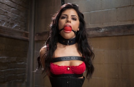 Submissive Brunette Is Fitted With A Ball Gag Before Being Masturbated
