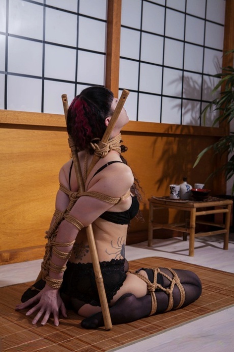 Forced the arrest of SeizaBondage, Rope Bondage, and Shibari.