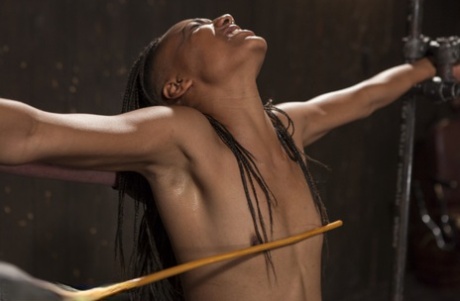 Restrained black girls are tortured by a male sadist while they sweat.