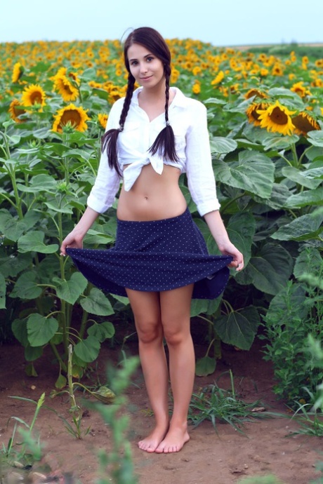 Young and sweet Vanessa with pigtails, flaunting their skinny buttocks in the sunflowers.