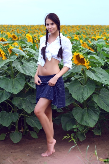 Sweet Vanessa, with its long pigtails, is seen in the sunflower fields naked spreading her skinny buttocks.