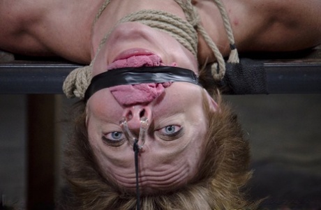 During an extreme bondage action, the white girl Darling squirts while being fingered.