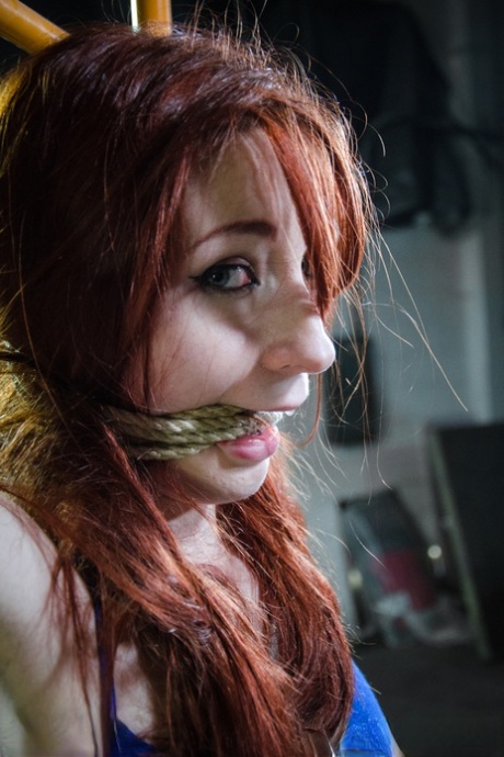 In a dungeon, Violet Monroe, a redhead girl, is hanging by ropes.