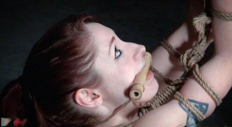 Violet Monroe, a redhead girl, is hanging by ropes in a dungeon.