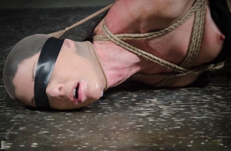 In a hidden labyrinth, a dark-haired woman named India Summer finds herself tied up with rope.