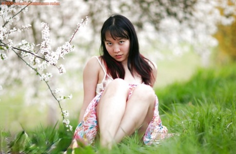 Amateur woman Jenny-Lee sporting nice upskirt under summer dress outdoors