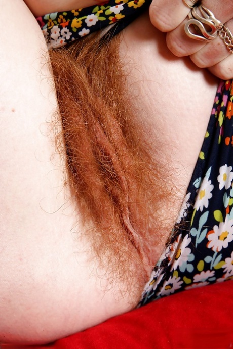 Hairy Redheads Pics