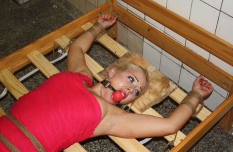 Ball gagged blond female struggles against rope restraints while wearing dress that has been raised.