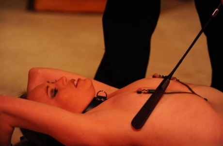 In a dungeon crawl, the collared sex slave is subjected to painful electrolysis.
