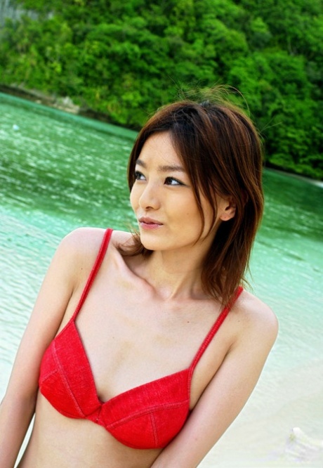 Ray Ito appears to be slipping off her red bikini and wearing a plush asian hotty.