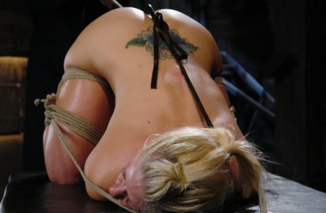 The Hogtied Holly Heart, Maestro is the song that has been played.