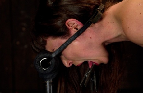 The device is being used by Bondage Seda.