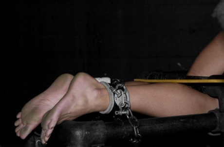 Bondage: Claire Adams, Vendetta.