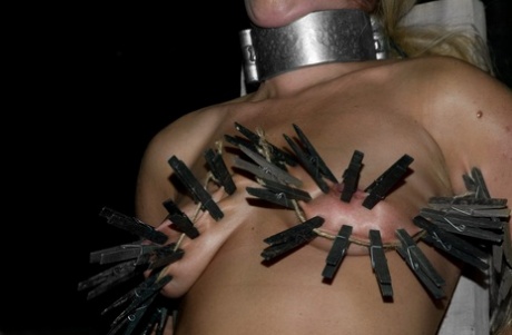 Naked Blonde Chick Dia Zerva Is Covered In Clothespins In A Dungeon