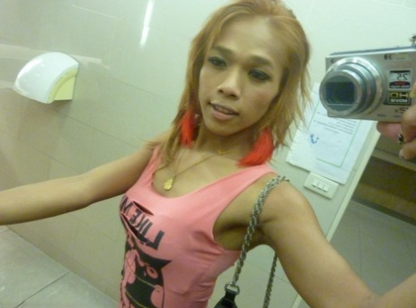 Kinky Ladyboy Meenee Playing With Her Hard Dong In The Public Bathroom