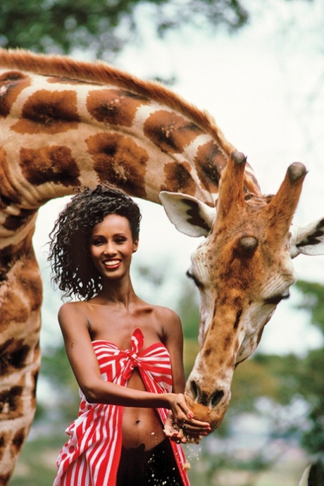 Despite her exotic appearance, Iman, a slim Somali woman, displays her menacing small breasts in Africa.