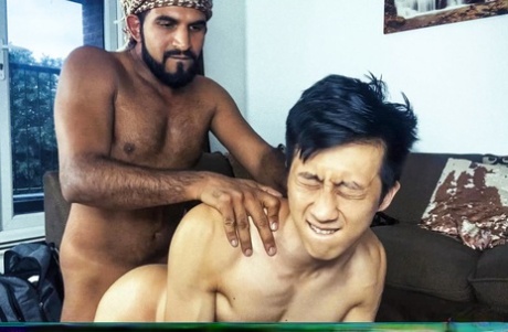 460px x 301px - Arab Men Porn Pics & Naked Photos - PornPics.com