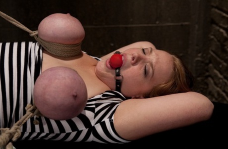 Wired Pussell Aiden Starr and Sierra Skye are both present in the picture.