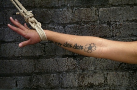 DragonLily with Water Bondage, Sgt Major