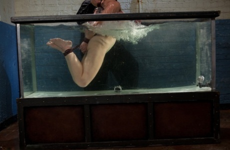 Dee Williams - Water bondage