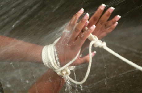 Water Bondage Performed By Candace Von Sex Images