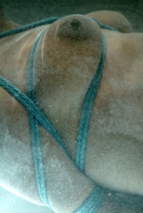 Vixen Fyre, a type of water bonding agent, is used to