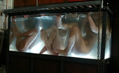 The film starred Hollie Stevens, Isis Love, Jessica Sexin, Lola, and Sasha Monet as part of the Water Bondage cast.