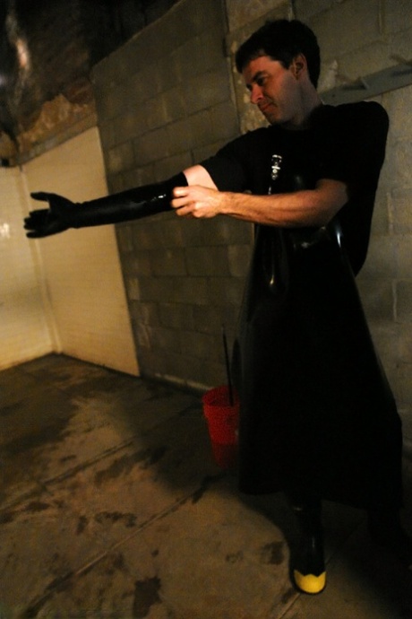 Training Of O Lorelei Lee