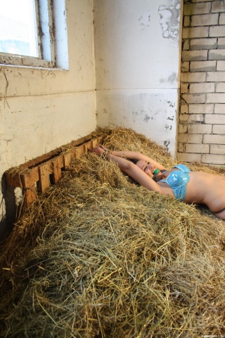 In a barn, an amateur with long hair gets caught on her big breasts while being bound as she walks.
