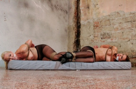 Elaborate photos of slave girls Jenny and Veronica wearing pantyhose and heels.