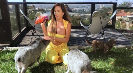 Chesty babe Tasha Reign playing with her pig pets in a hot yellow dress