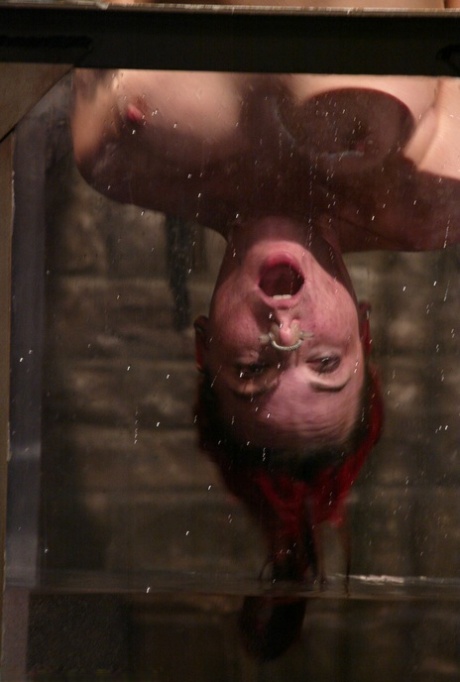Bonding with Water: Dana DeArmond.