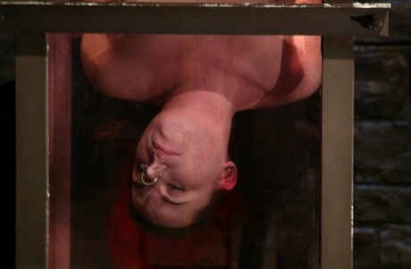 Dane DeArmey uses water as a bonding agent in the UK.