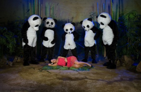 Ashli Orion's face is flung by a group of men dressed as pandas.