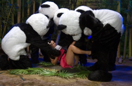 Ashli Orion's face is orally stimulated by a group of men dressed as pandas.