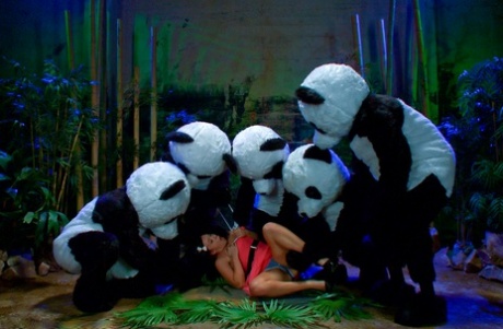 Ashli Orion Gets Face Fucked By A Bunch Of Men Dressed In Panda Costumes