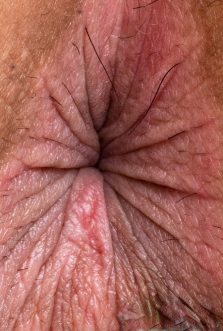 Anal Close U - Close Up Anal Sex Porn Pics - PornPics.com