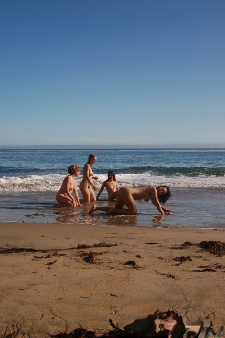 Hairy Amateur Girls Posing Naked And Playing On The Sandy Beach