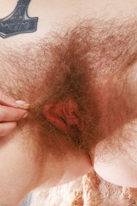 ATK Hairy Apricot Pitts
