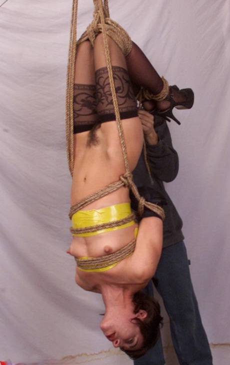 Get out of this world: Hogtied Viva!