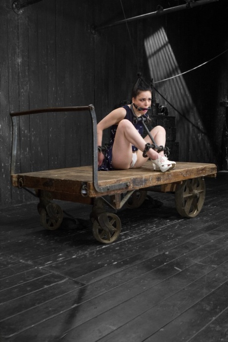 American babe Juliette March gets bound and fisted on a wooden wagon