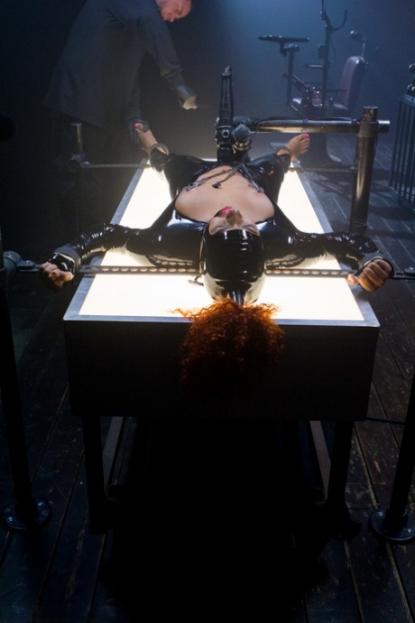 The ebony, redheaded dog named Daisy Ducati, who is covered in latex, is bound and tortured.