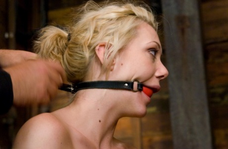 Bound and ball-gagged sexuose, Trina Michaels and Samantha Sin untie each other.