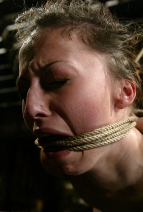 Shock-deprived: Injured Veronica Jett enjoys mouth and anal play while in suspension.