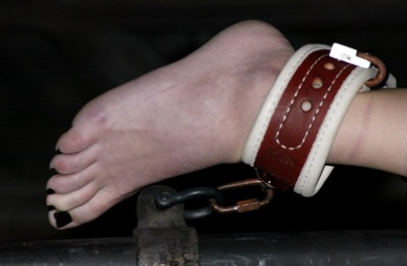 In her high heel shoe, Bobbi Starr has suck while being bound barefoot in pornography.