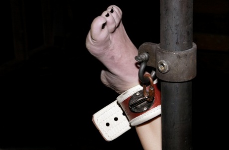 Suck: Bobbi Starr, a brunette pornstar, holds her high heel shoe while being bound and barefoot.