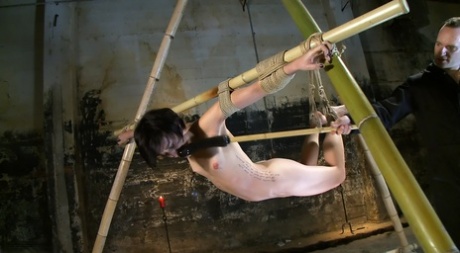 As he attempts to stretch his legs in a rope bondage, MILF Dylan Ryan, a tall brunette, is indulged.