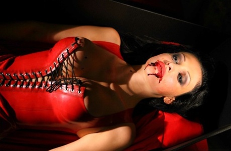 The likeness between Big Aletta Ocean and other pornstars is noteworthy.